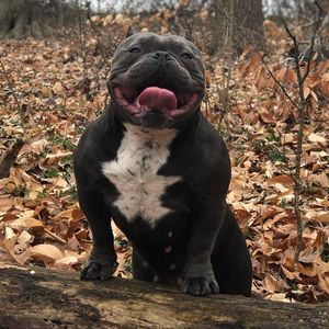 Meet your Posher, Muñoz